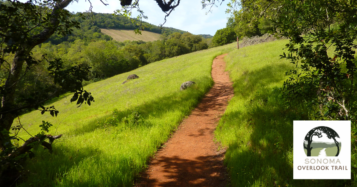 A hiking trail on a hill slope with green grass and oak trees framing the foreground.