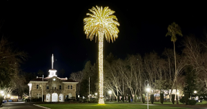 A palm tree with white twinkle lights at night.