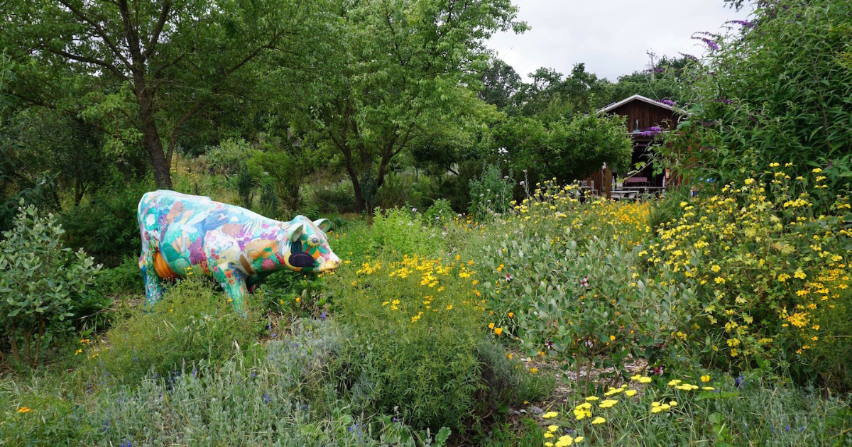 A garden with blooming flowers, a cow sculpture and a barn in the background.