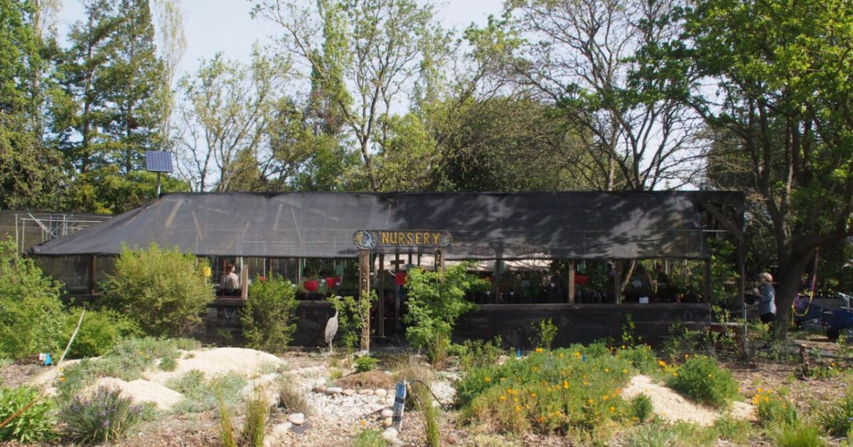A structure in a natural garden setting with a sign that reads "Nursery"