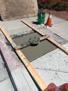 Freshly poured concrete on a sidewalk.