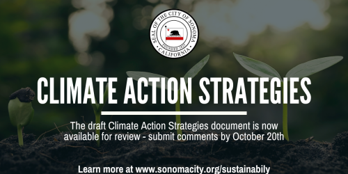 a close up view of four small plants at various stages of growth with the words "Climate Action Strategies" over it.