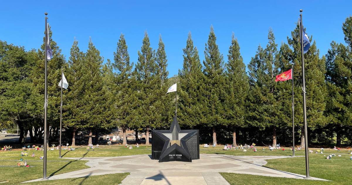 The Star of Honor Sculpture and flag poles with a row of trees in the background.