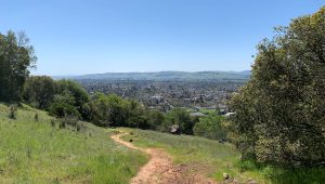 A view of Sonoma from the Overlook Trail.