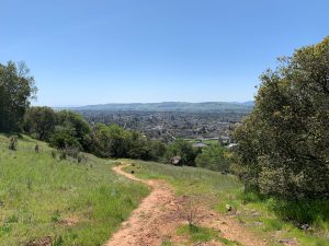 A view of Sonoma from the Overlook Trail.