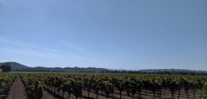 Wine Country