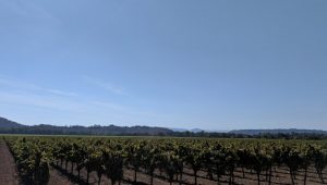 Wine Country