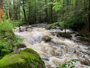 Whetstone Brook