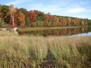 Wicket Pond in fall