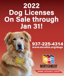 2022 dog licenses photo