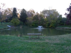 Pond at village park