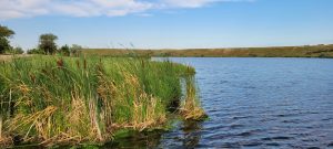 Lake in Williams County