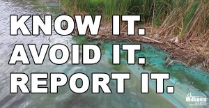 Picture of blue-green algae with the words "Know It. Avoid It. Report It."