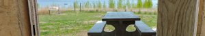 View of Lake Sakakawea from a picnic table