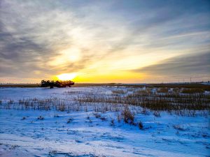 A snowy field at sunset