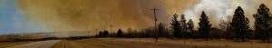 Heavy smoke over a highway and trees