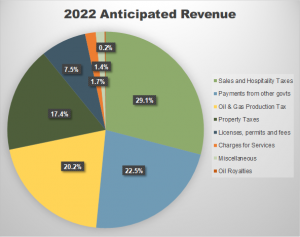 Pie chart showing 2022 Anticipated Revenue