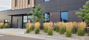 Plants in front of Cab Building