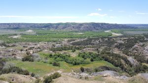 View of a river, green vegetation, and badlands