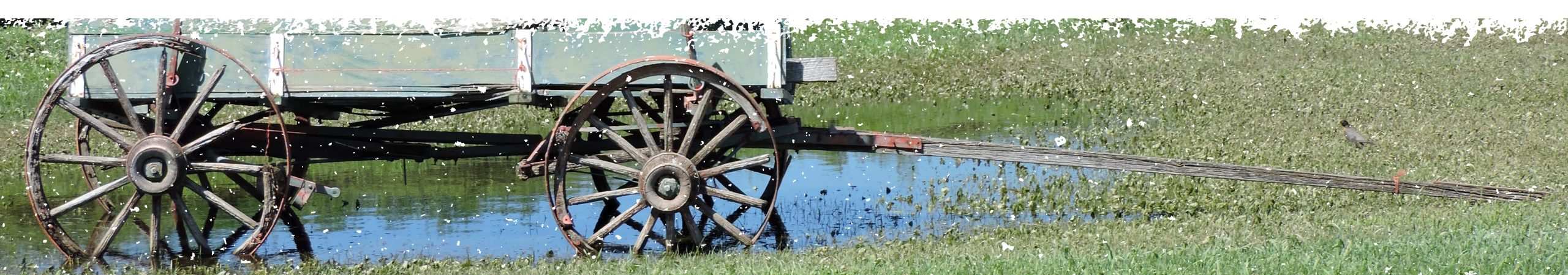 Old wagon