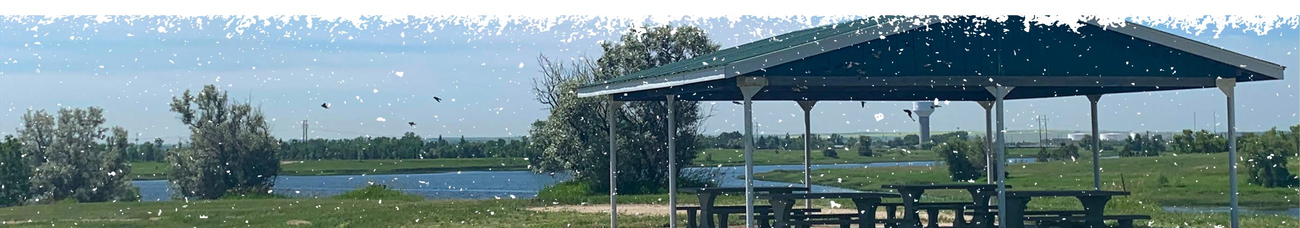 View of lake and birds