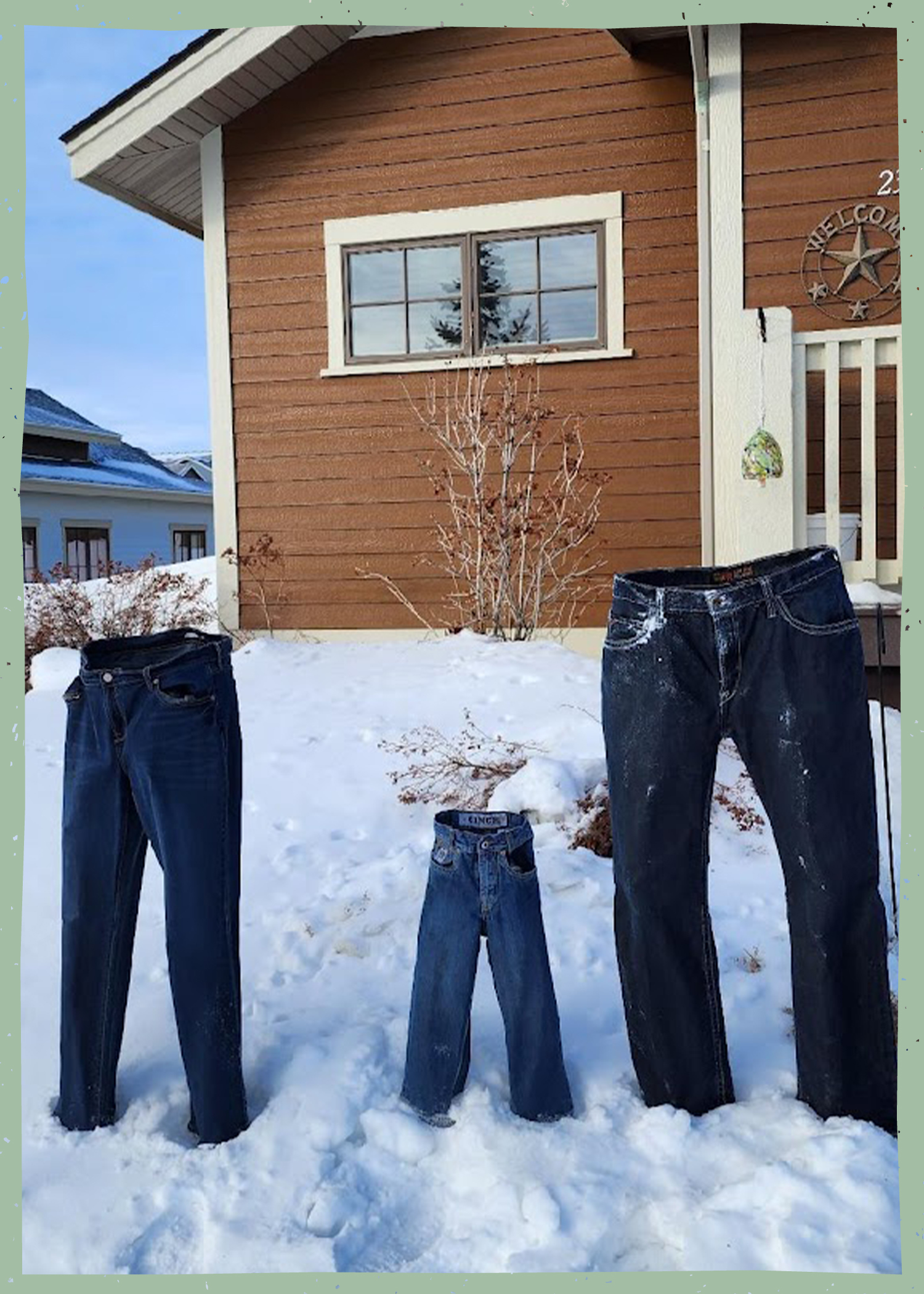 Three pairs of frozen jeans standing up in snow