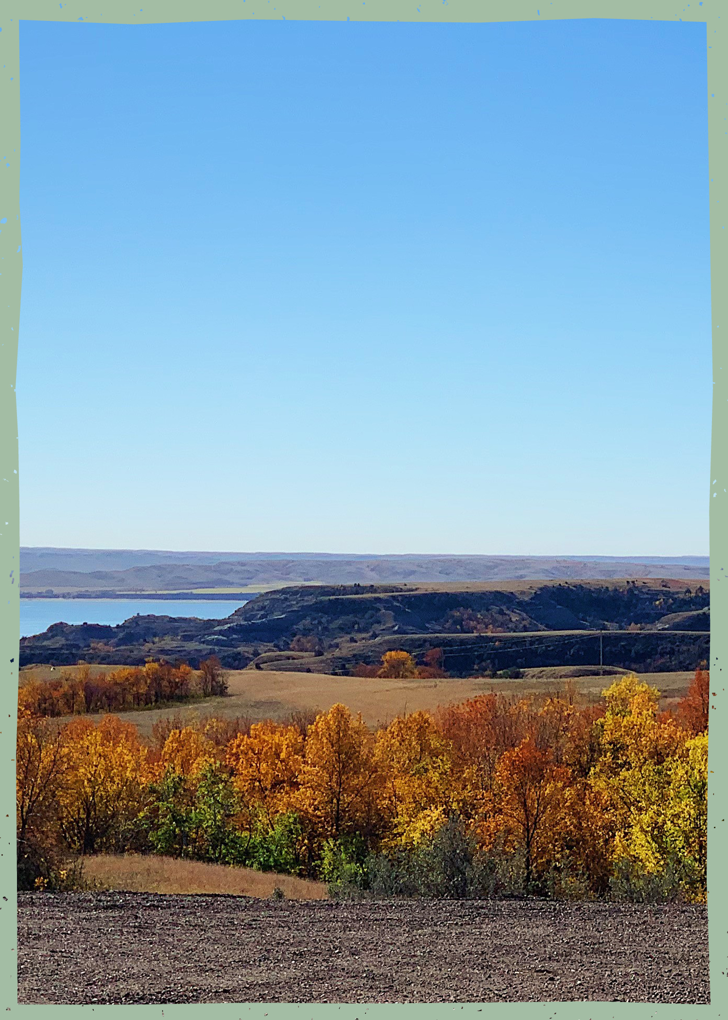 Fall colors on trees with a lake in the background