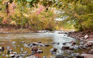 Red Cedar River