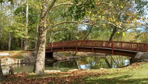 wooden foot bridge woodcock dam