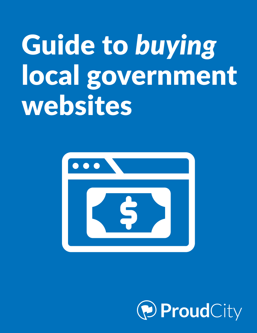Guide to buying local government websites