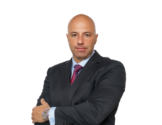 Dani Diemzy - Aoun - Provident Estate