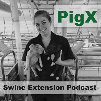 Pigx Cover