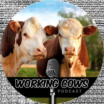Working Cows Podcast Logo Final