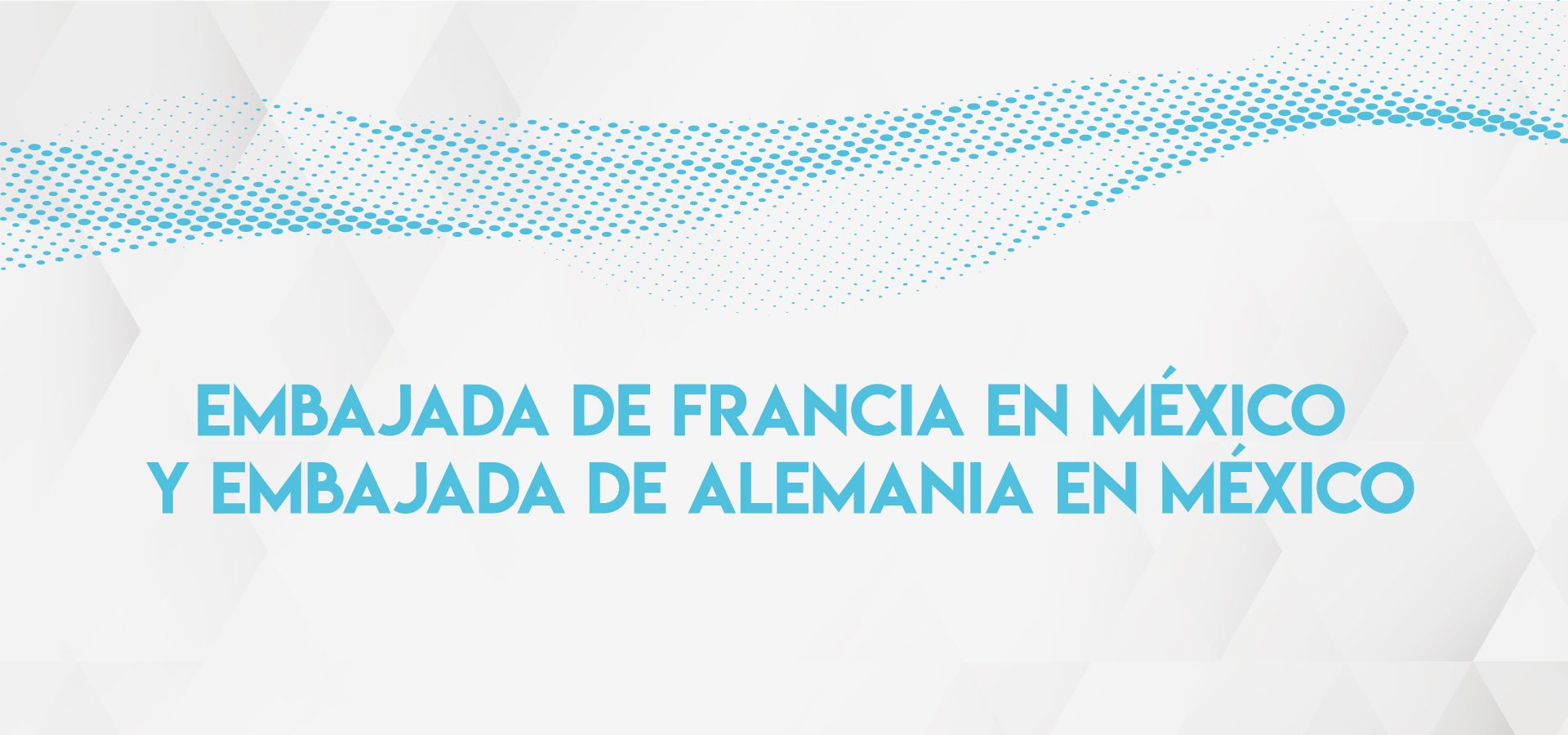 Embassy of France in Mexico and Embassy of Germany in Mexico