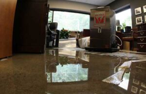 Flood Damage Restoration Services