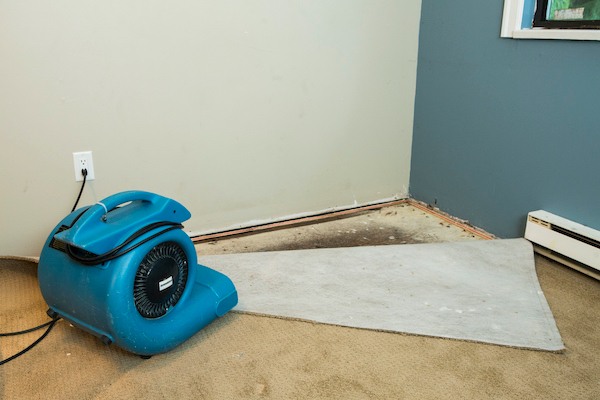 Water Damage Repair Fort Lauderdale Fl