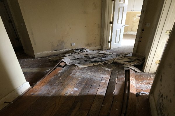 Water Damage Morrisville NC