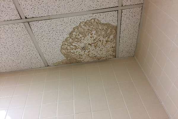 Does Home Insurance Cover Ceiling Leaks