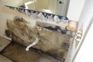 Bathroom Mold Removal