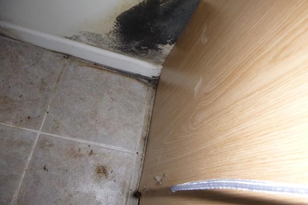 I found mold in the bathroom - what should I do?