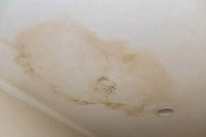 Ceiling Water Damage Guide