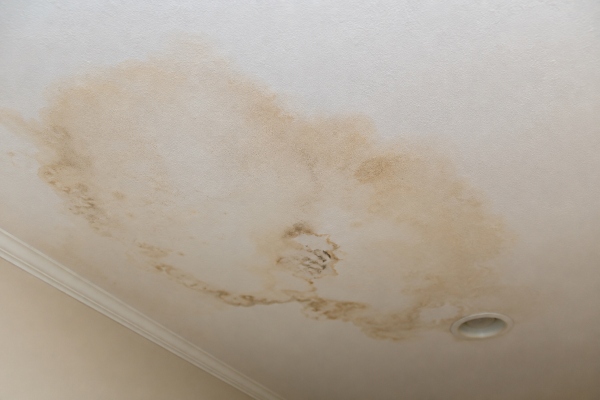 Ceiling Water Damage Guide