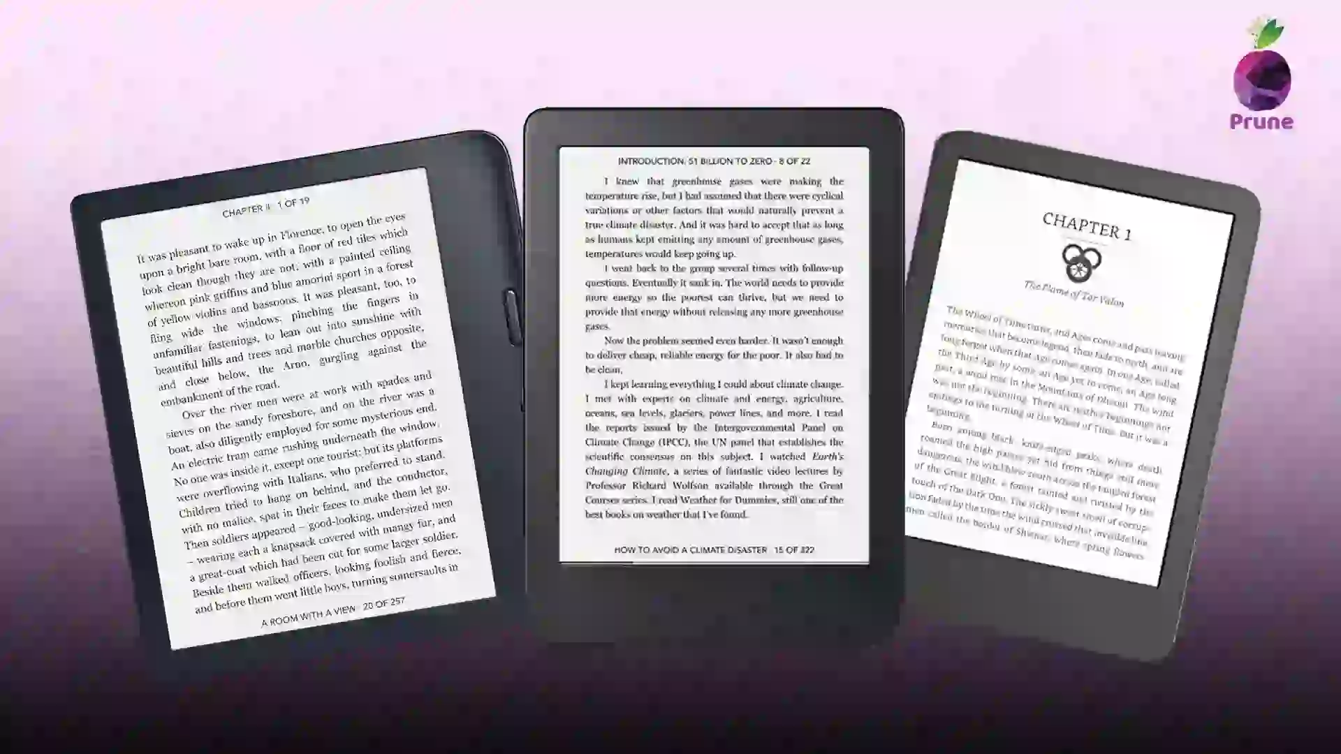 Best ereader 2024: Top deals on Kindle, Kobo and Oasis ebooks