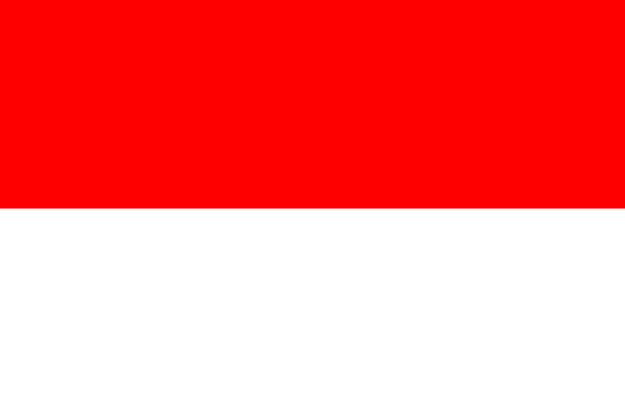 country_flag_image