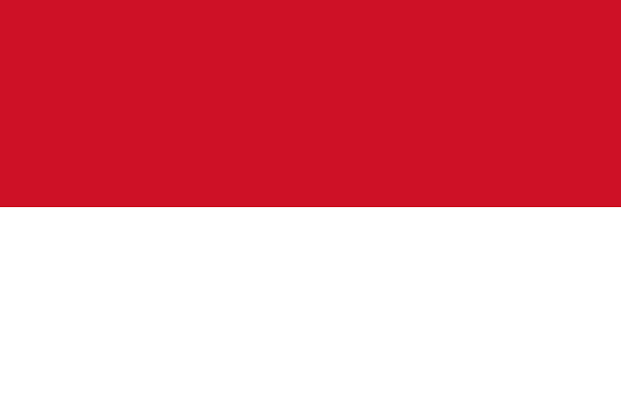 country_flag_img