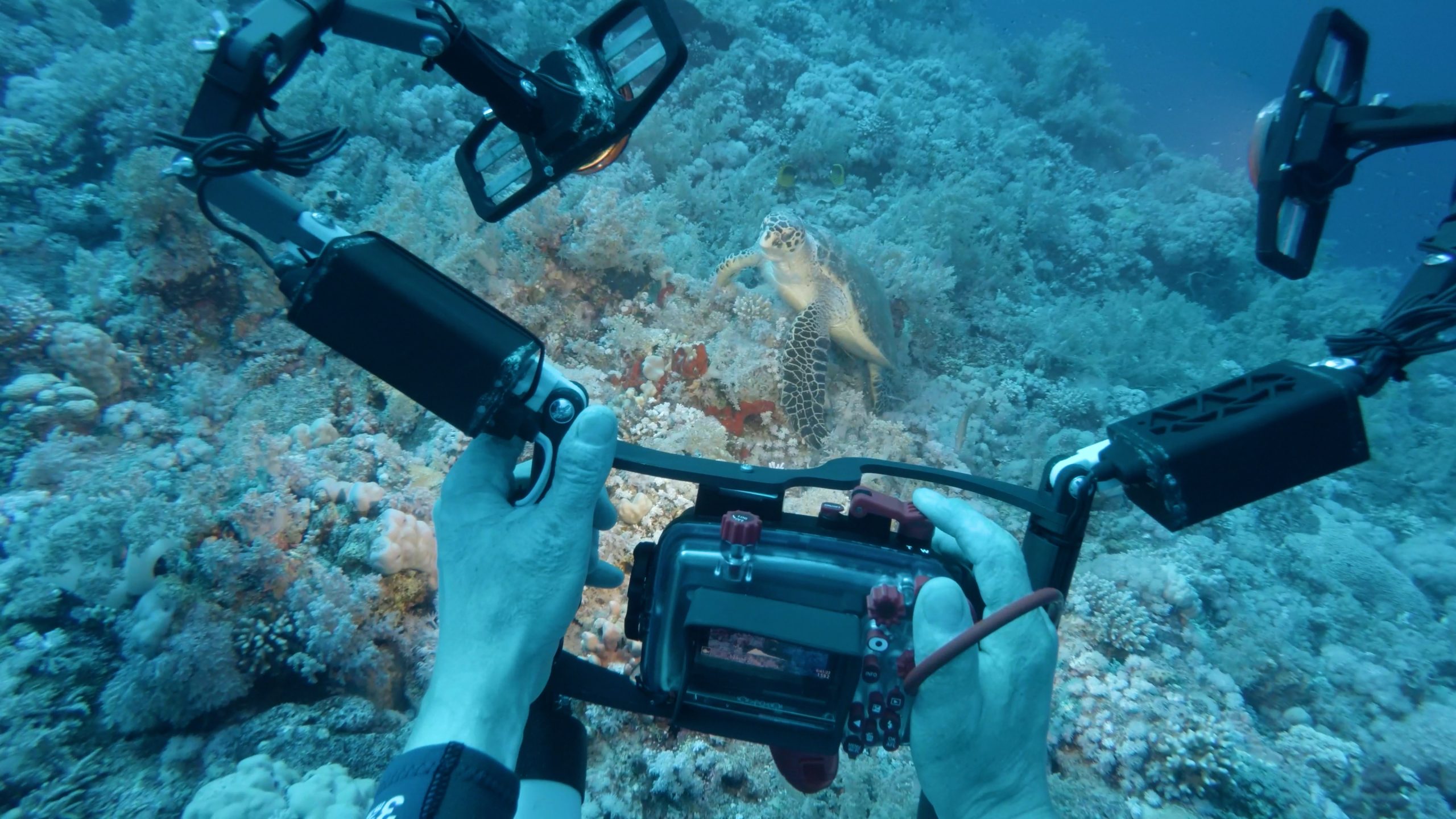 Grasa de silicona para cuidar el material de buceo.