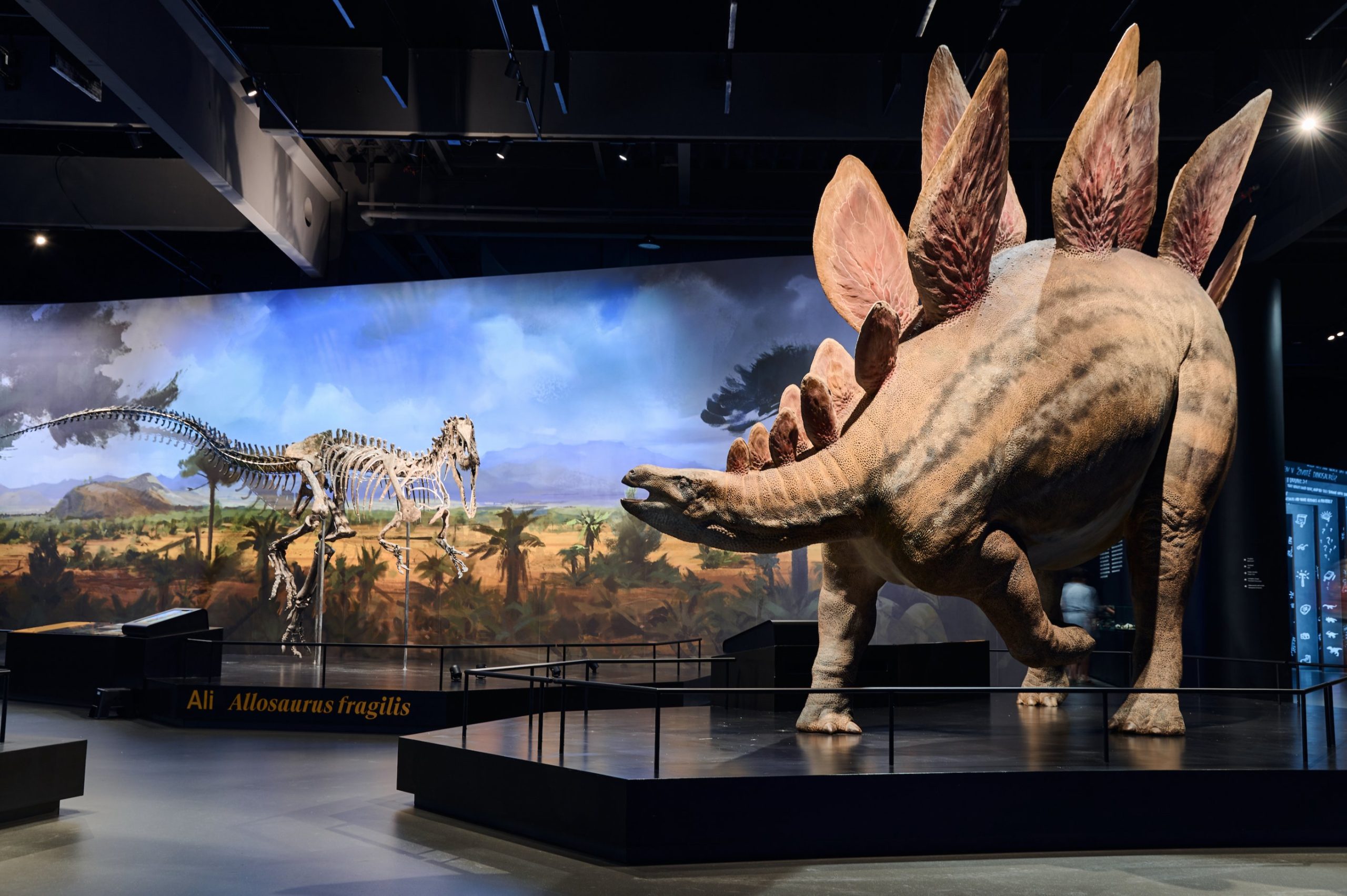 https://storage.googleapis.com/prusa3d-content-prod-14e8-wordpress-blog-prod/2023/11/bceed1c3-113640_0d66_pop-airport-dinosauria-museum-prague-stegosaurus-5-scaled.jpg