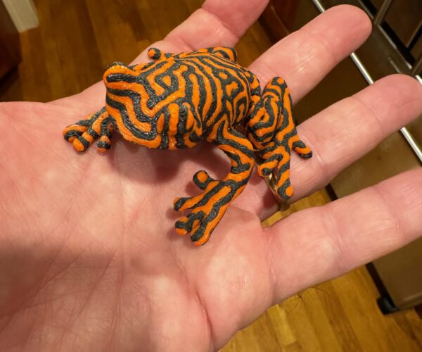 2 color tree frog