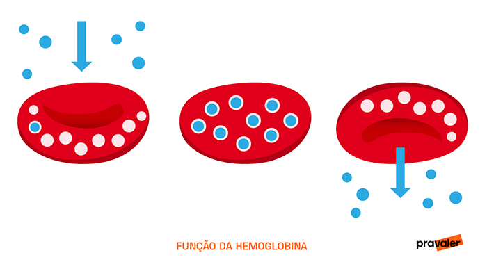 Função da Hemoglobina