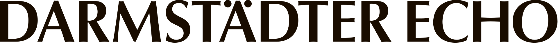 Logo der Zeitung Rüsselsheimer Echo